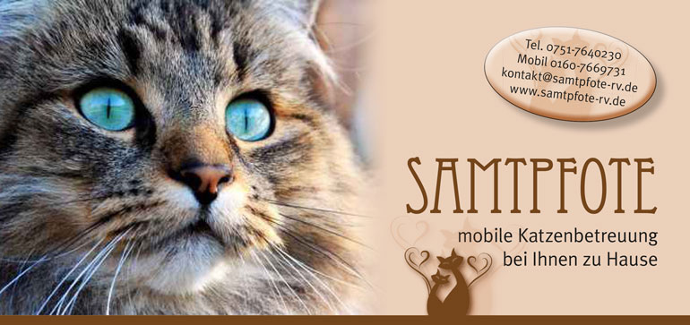 samtpfote - mobile Katzenbetreuung bei Ihnen zu Hause